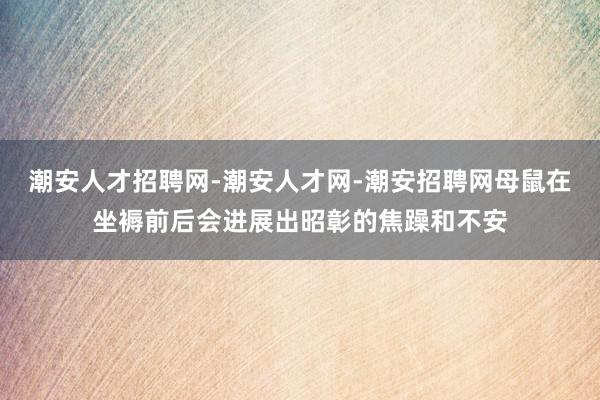 潮安人才招聘网-潮安人才网-潮安招聘网母鼠在坐褥前后会进展出昭彰的焦躁和不安