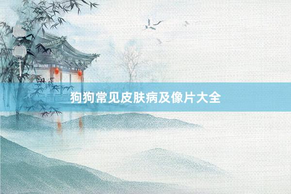 狗狗常见皮肤病及像片大全